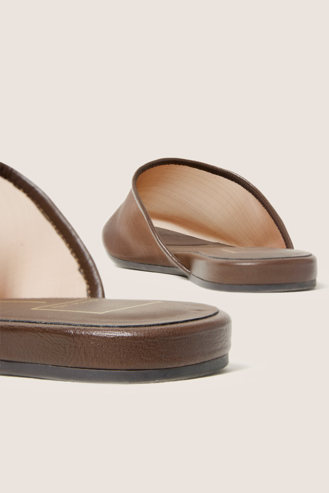 Geni Mesh Slide